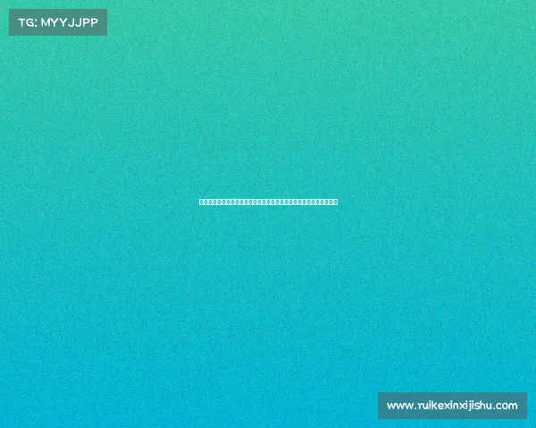 赛车赛事宏伟蓝图：详细规划未来五年的赛道建设车队发展和赛事推广